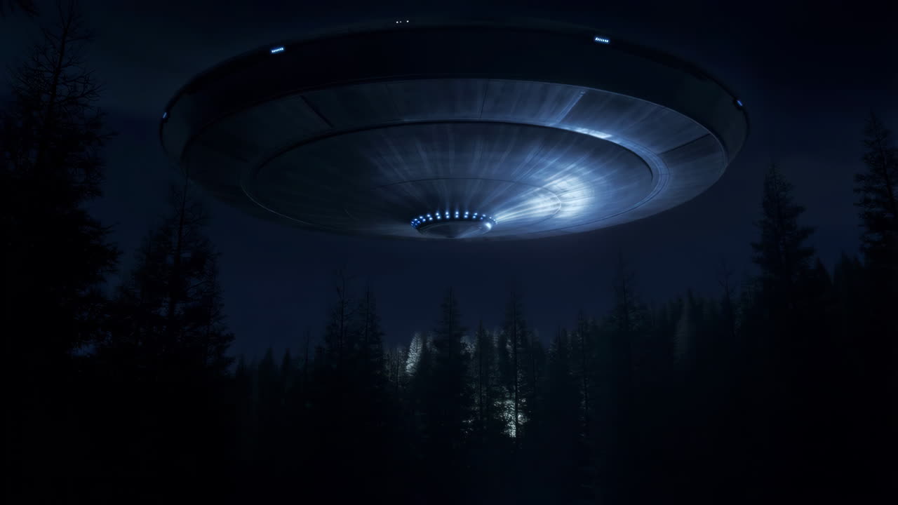 Avvistamento UFO nella foresta di notte