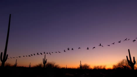 birds flying over a desert landscape at sunrise/sunset