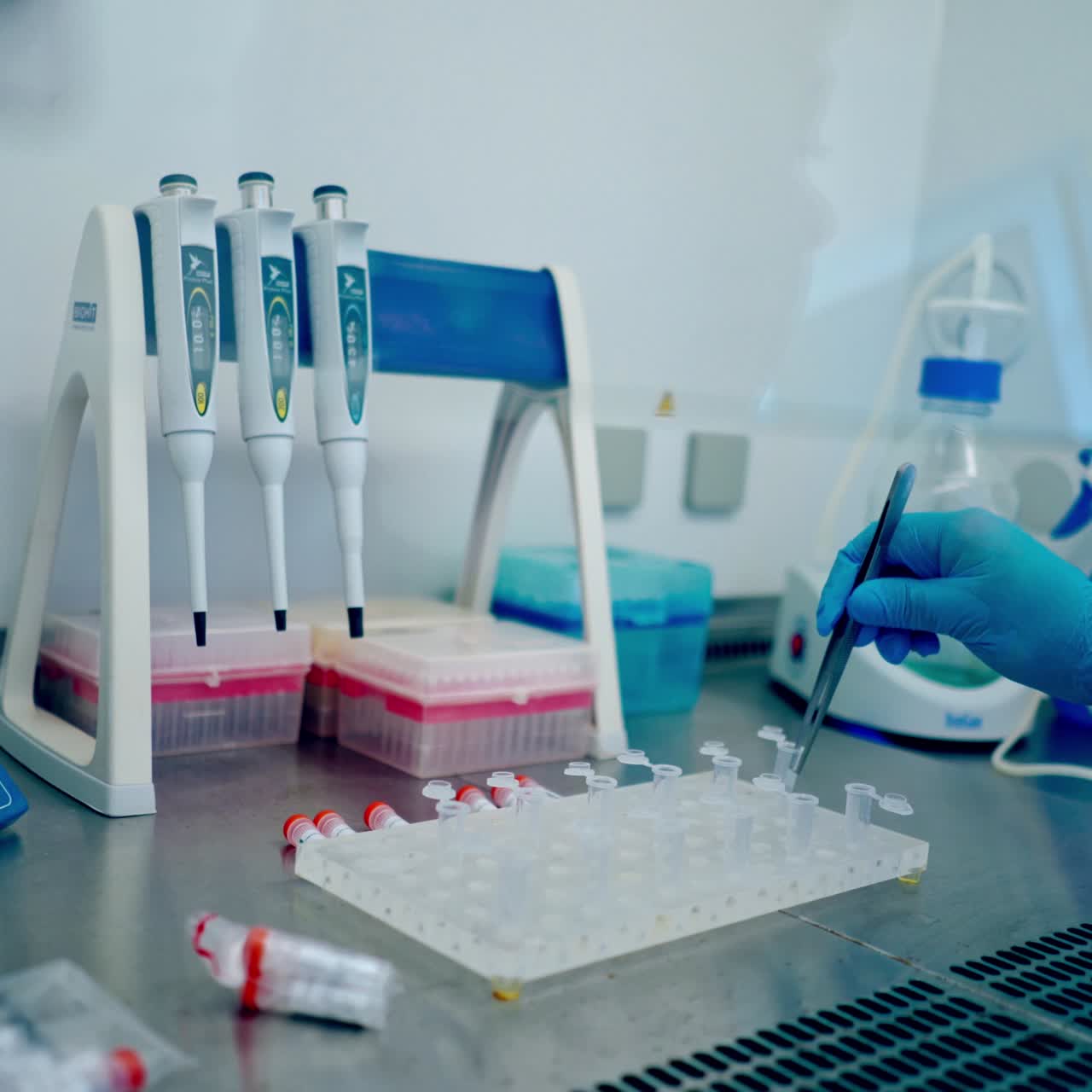 Medical blood test tubes