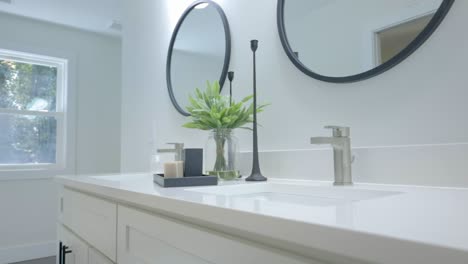 mid shot of a modern all white bathroom with a splash of green