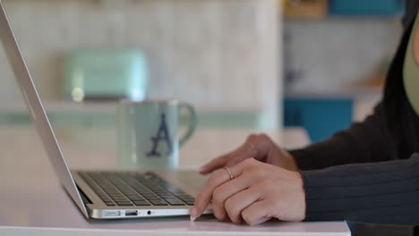 Eine-Frau-Tippt-Und-Sucht-Auf-Einem-Laptop-In-Einem-Haus-Aus-Der-Mitte-Des-Jahrhunderts