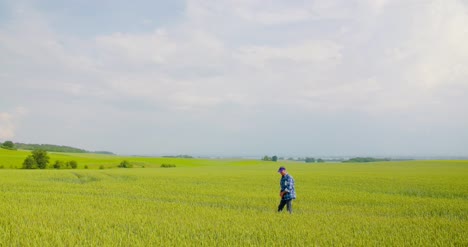 farmer examining agriculture field on farm 16