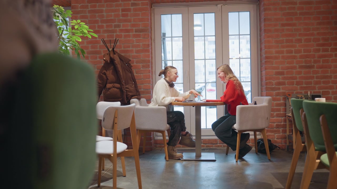 Two Young Women Talking and Using Laptop in a Modern Cafe