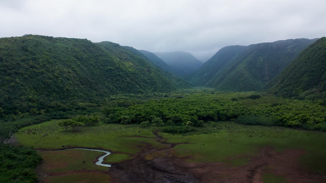 A vast green valley stretches toward steep mist-covered mountains, with a narrow winding stream cutting through grassy meadows and dark forest edges in this tranquil wilderness landscape.