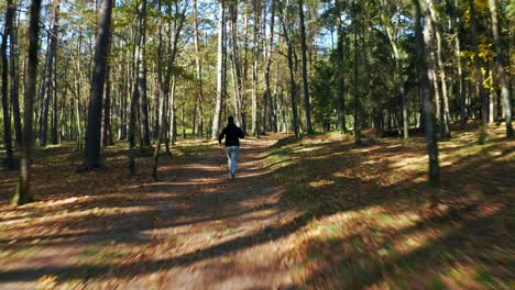 Drohne,-Die-Einem-Mann-Folgt,-Der-Im-Herbst-Im-Neris-Regionalpark,-Litauen,-Durch-Den-Wald-Läuft