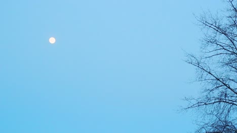 Horizontaler-Panoramablick-Auf-Die-Winternatur.-Winternaturkonzept