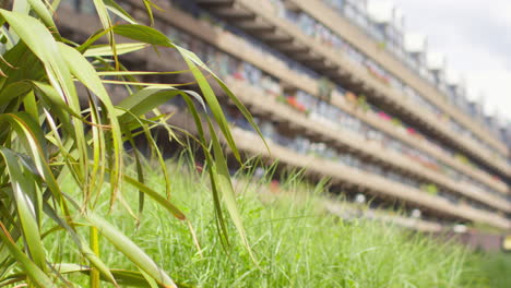 Close-Up-Of-Gardens-Outside-Residential-Apartments-In-The-Barbican-Centre-In-City-Of-London-UK-1