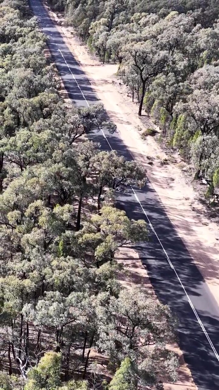 Ripresa con drone dall'alto di un veicolo che viaggia lungo una strada asfaltata rettilinea nella foresta di Goonoo