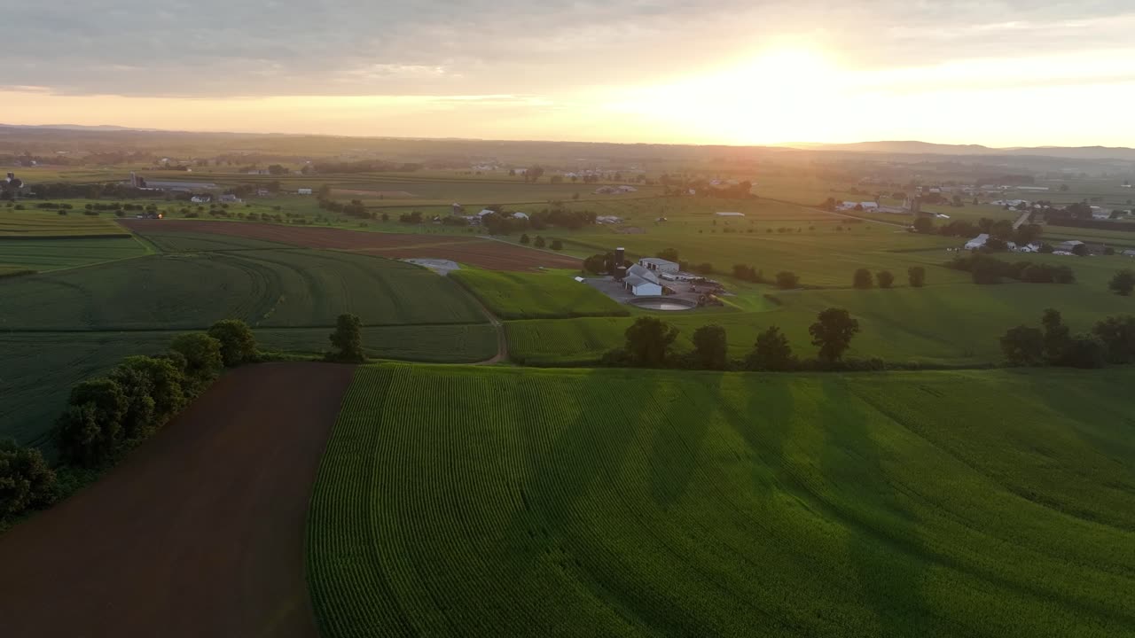 L'ora d'oro sui campi agricoli della campagna americana con case coloniche. Splendido paesaggio pittoresco di periferia nella zona rurale degli Stati Uniti in estate. Ampia ripresa aerea. Pennsylvania, USA.