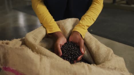 hands of african american woman working at gin distillery inspecting juniper berries in sack