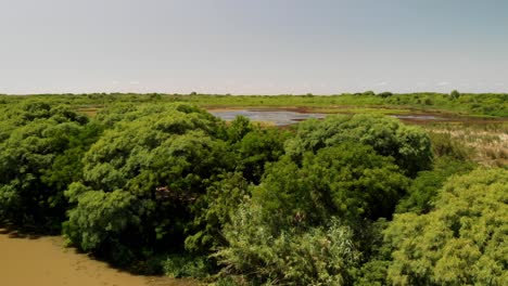 Eine-Luftaufnahme-Des-Feuchtgebiets-Des-Buenos-Aires-Ecological-Reserve