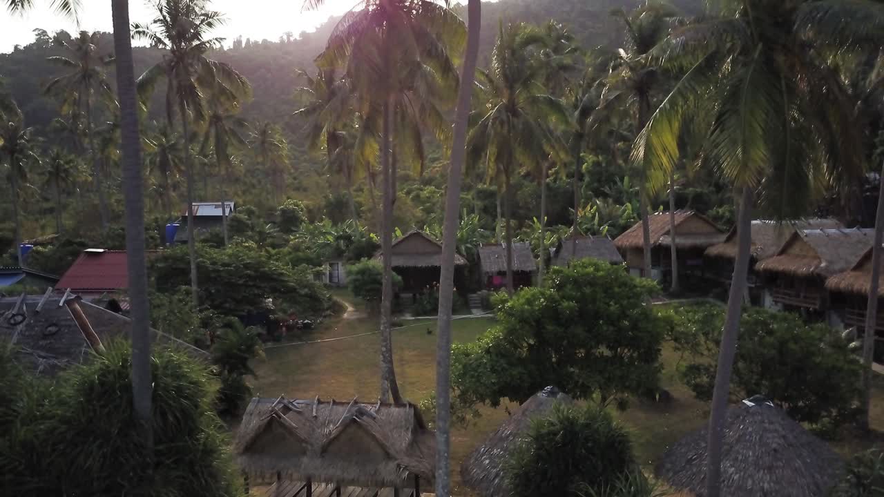 Tropical Resort with Palm Trees