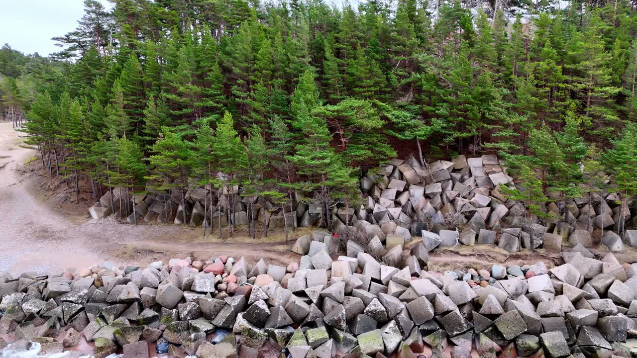 bosque pintoresco con una gran pila de rocas cubiertas de musgo en primer plano