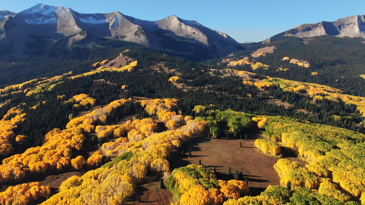 멋진 밝고 은 해가 뜨는 아침 가을 아스펜 나무 가을 황금 노란색 색 케블러 패스 공중 영화 드론 크레스트 버트 군니슨 콜로라도 바위 산 풍경 천천히 앞으로 나타납니다.