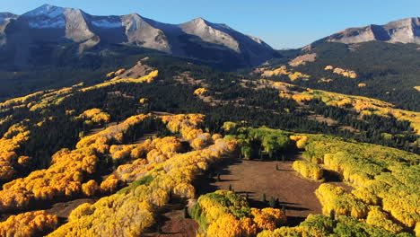 Impresionante-Brillante-Soleado-Amanecer-Mañana-Otoño-álamo-Temblón-árbol-Dorado-Amarillo-Colores-Kebler-Pase-Aéreo-Cinemático-Drone-Crestado-Butte-Gunnison-Colorado-Montañas-Rocosas-Paisaje-Lentamente-Adelante-Arriba-Revelar