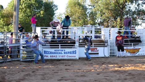 rider thrown off bull at rodeo event