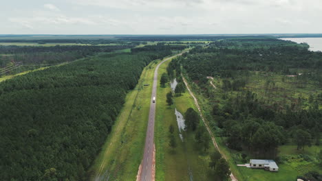 Drone-footage-showcasing-a-beautiful-road-along-the-Paraná-River,-surrounded-by-pine-plantations-in-a-rural-area-of-Argentina