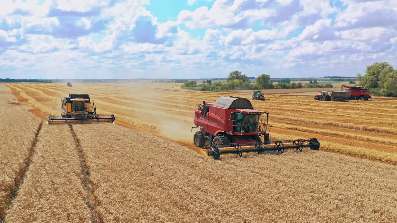 Combines in the field. Harvesters gathering crops. Agricultural machinery working on the natural background in summer. Seasonal works.