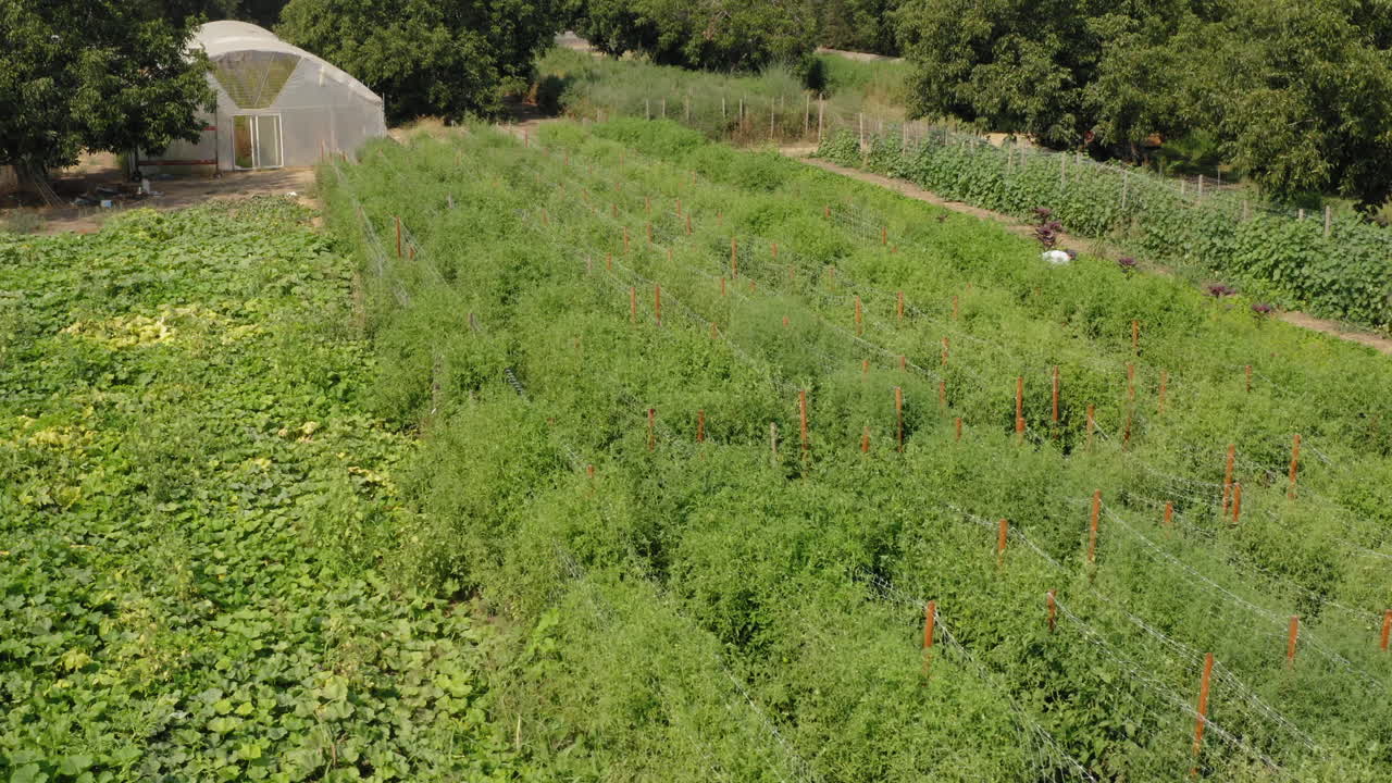 드론으로 위에서 본 대형 온실 정원에서 일하는 한 사람