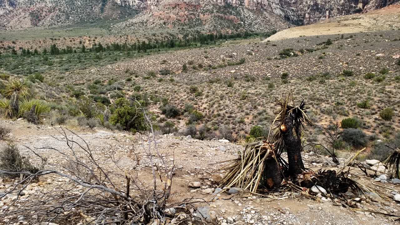paredes del cañón de roca roja reveladas bajo el cielo azul de verano