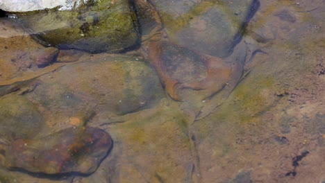 gradual shift in water over rocky bed