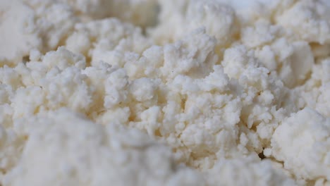 close-up of cottage cheese