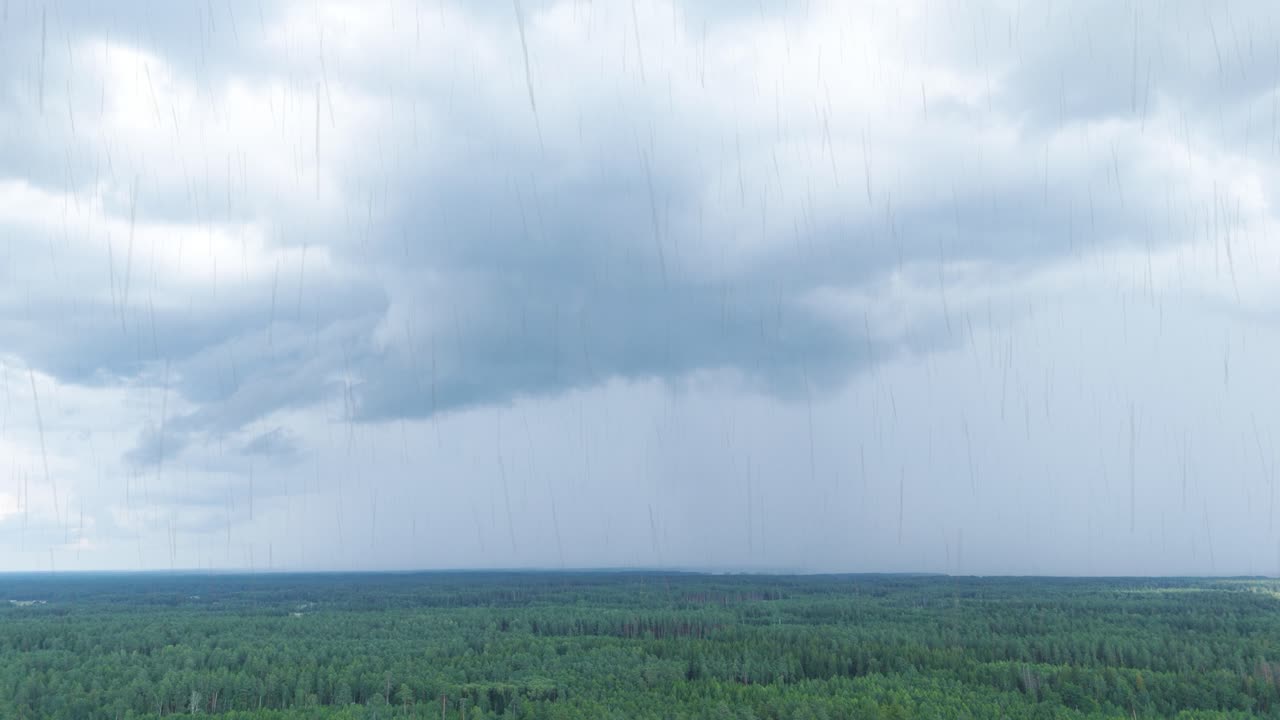 Powerful rainfall, dark clouds and green forest in Lithuania, aerial view