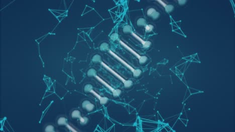 estructura del adn y red de conexiones contra un fondo azul
