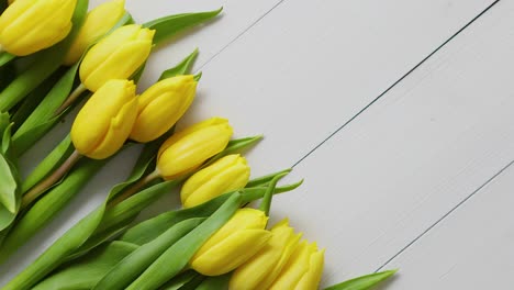 row of fresh yellow tulips on white wooden table