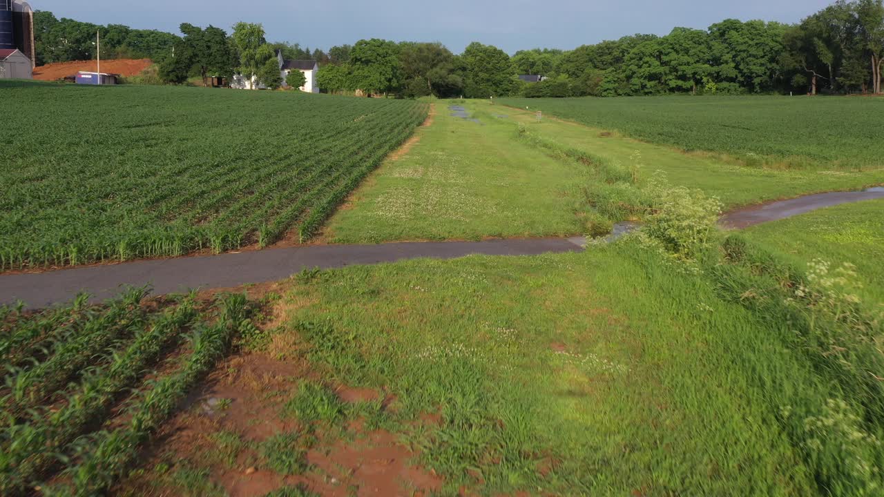 디스크 골프장의 9번 홀에서 긴 직선 샷