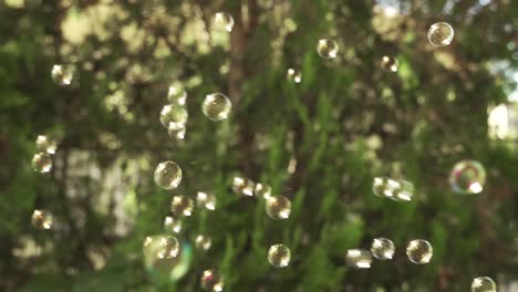 bubbles flying slowly on air, colorful transparent spheres surface on green background