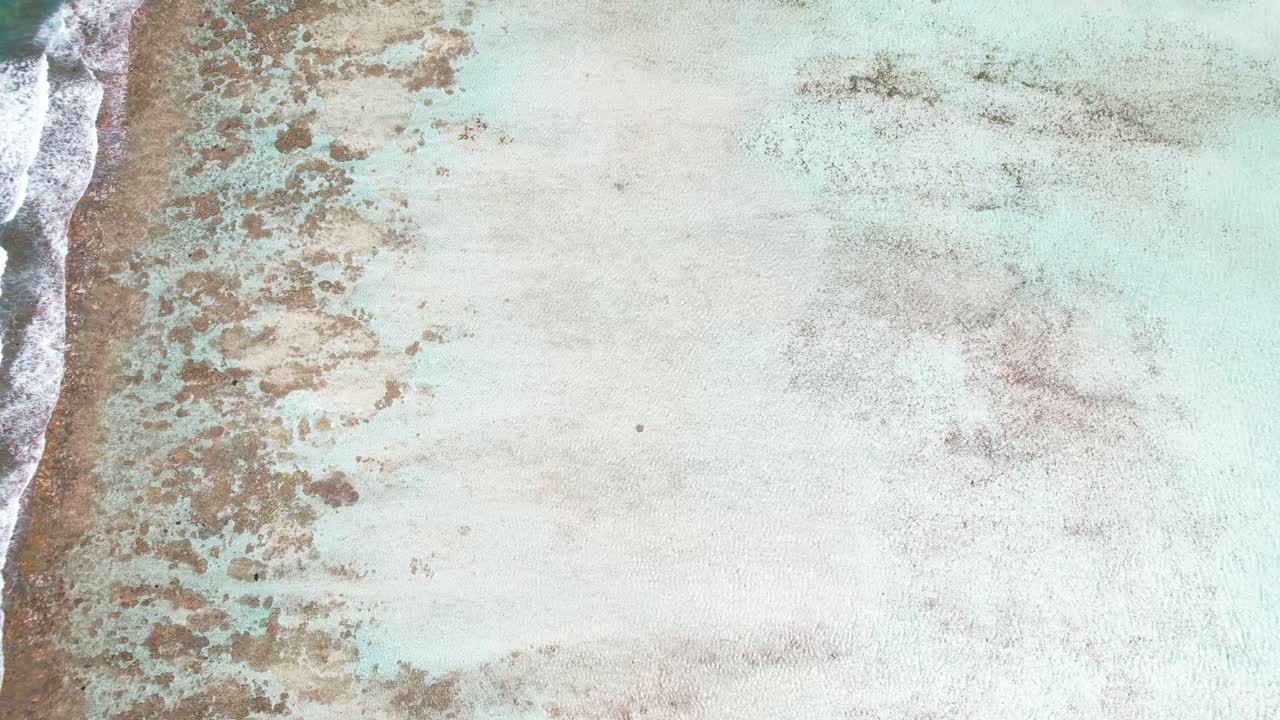 una toma aérea de inclinación hacia atrás que revela una barrera de coral, mostrando vibrantes texturas submarinas