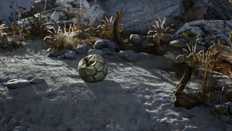 una vieja pelota de fútbol rota arrojada yace en la arena de la playa del mar