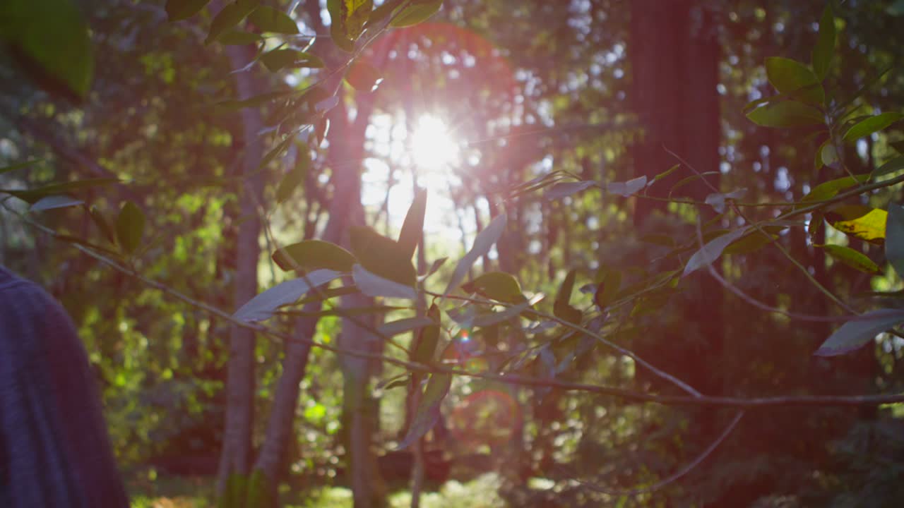 부부는 숲에서 길을 실행
