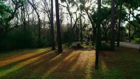 smallest church in america in background. tall pines and hanging moss, casting elongated shadows on the rustic georgia landscape under a soft, ambient light.