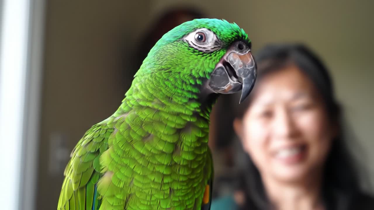 A Vibrant Green Parrot Captivating Attention in Close-Up with a Human in the Background Smiling Softly, Showcasing the Bond Between Humans and Pets