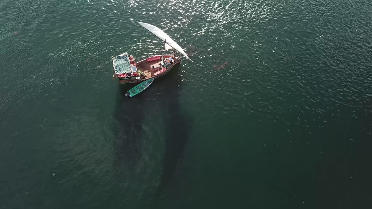 órbita aérea de drones de velero navegando en el mar