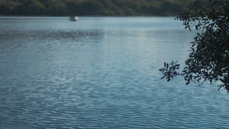 Gentle-breeze-forms-ripples-on-water-fisherman-fishing-in-lake-boat-distance