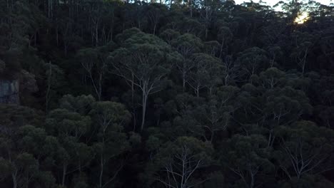 Die-Drei-Schwestern-Felsenformation-An-Den-Blauen-Bergen-Mit-Blick-Auf-Die-Wolken,-Die-Die-Regenwaldbäume-Bedecken,-Sydney-Australien