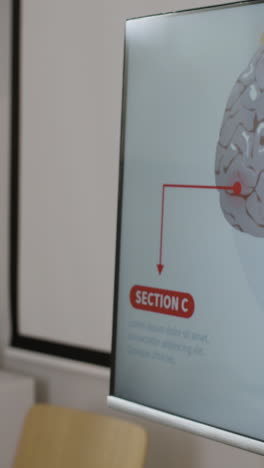 medical office with anatomical models and diagrams