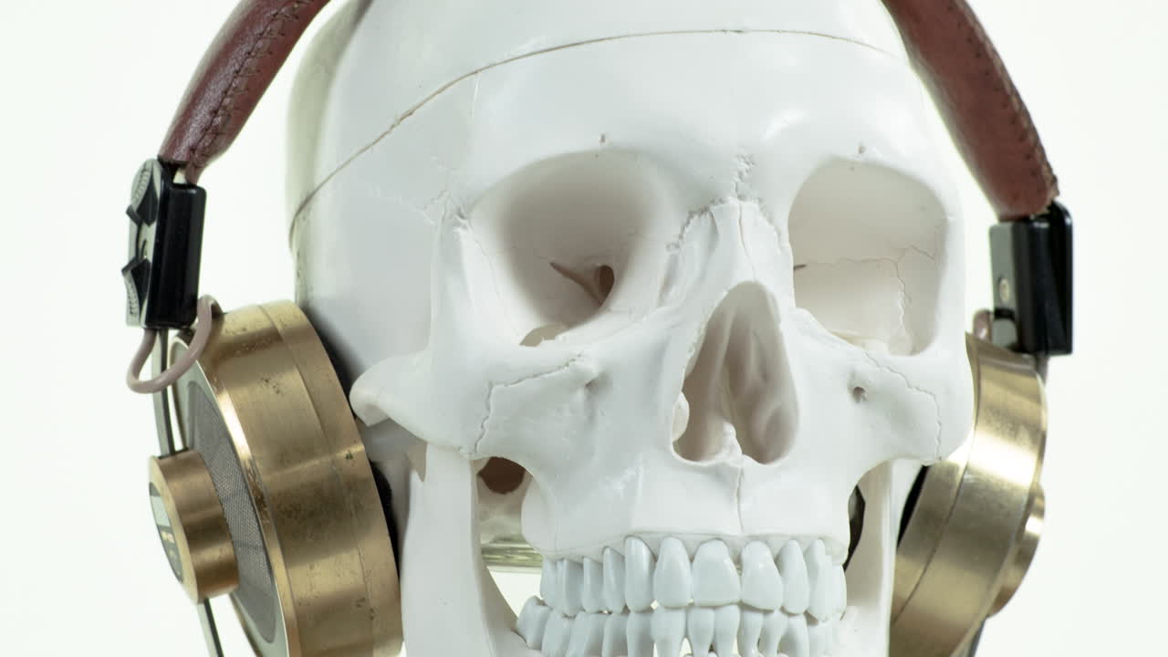 cráneo con auriculares de oro
