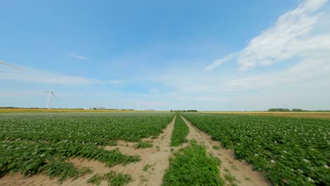 Aerial-shot-of-flying-over-the-endless-and-exuberance-green-fields-of-a-wind-farm