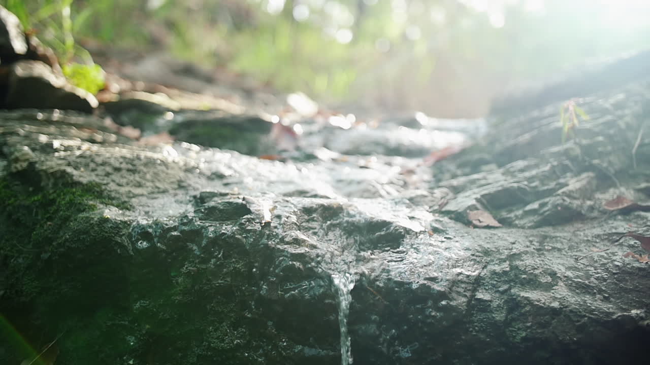 화창한 날 광야에서 이끼로 덮인 바위 위로 흐르는 시냇물