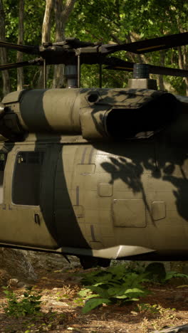 black hawk helicopter in a forest