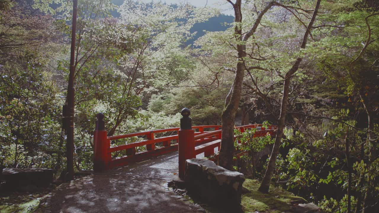 Picturesque red bridge surrounded by vibrant green foliage in Takaosan, Japan. The serene natural setting offers a tranquil atmosphere perfect for a peaceful walk or contemplation.