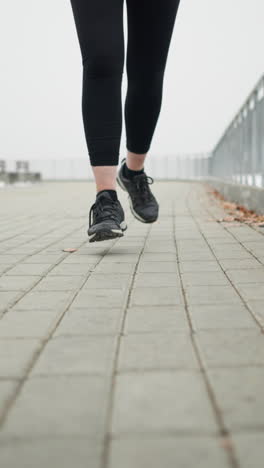 leg view of athlete wearing black sneakers jogging along snowy pathway near iron railing under foggy sky with serene mood and decorative structure benches faintly visible in background