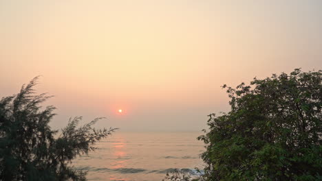 slow-panning-on-seaside-sunset,-trees-on-foreground