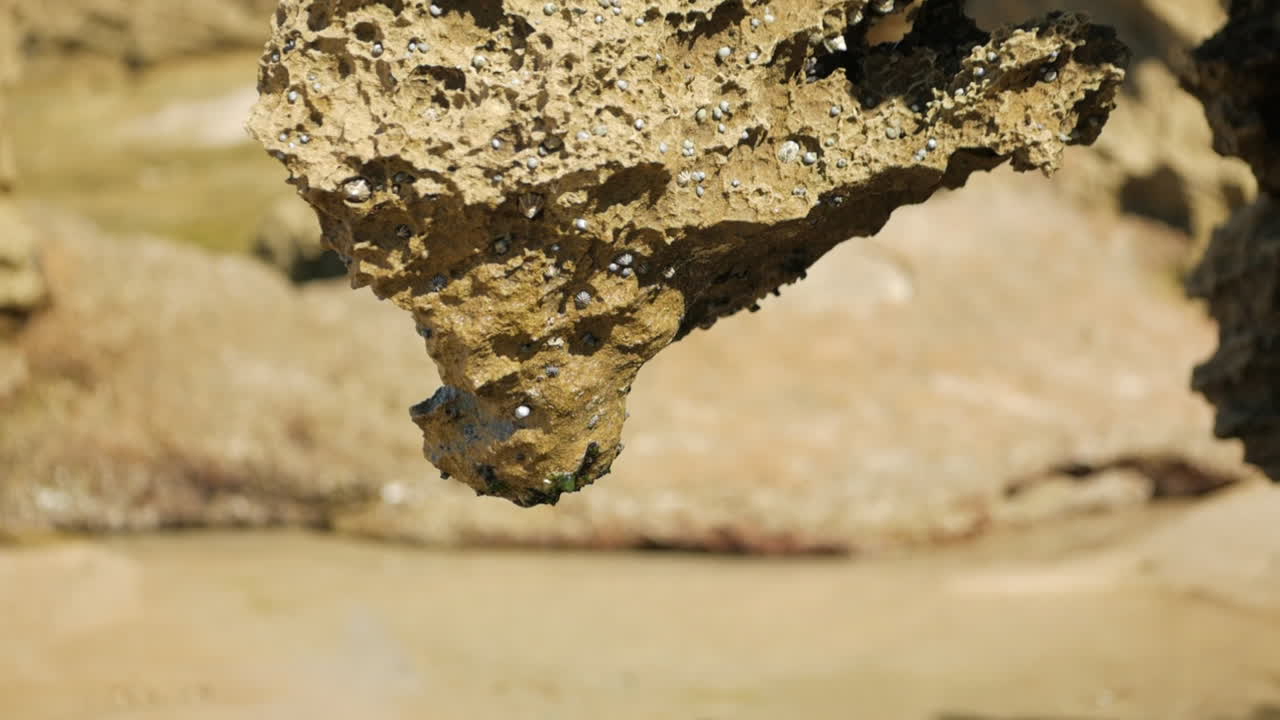 agua goteando de la base de una formación rocosa de piedra arenisca en una playa costera