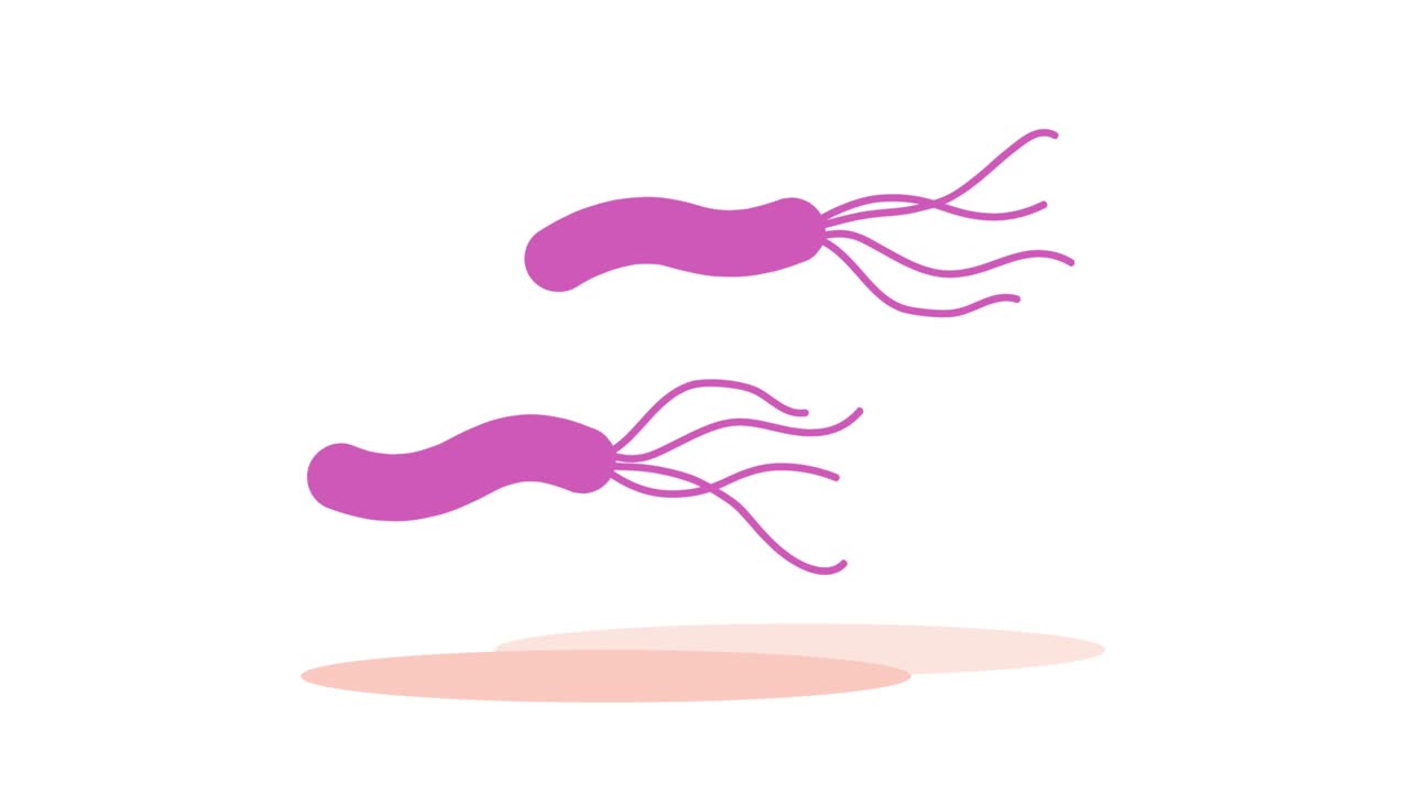 This is an animated video (loopable) of an image of floating H. pylori.