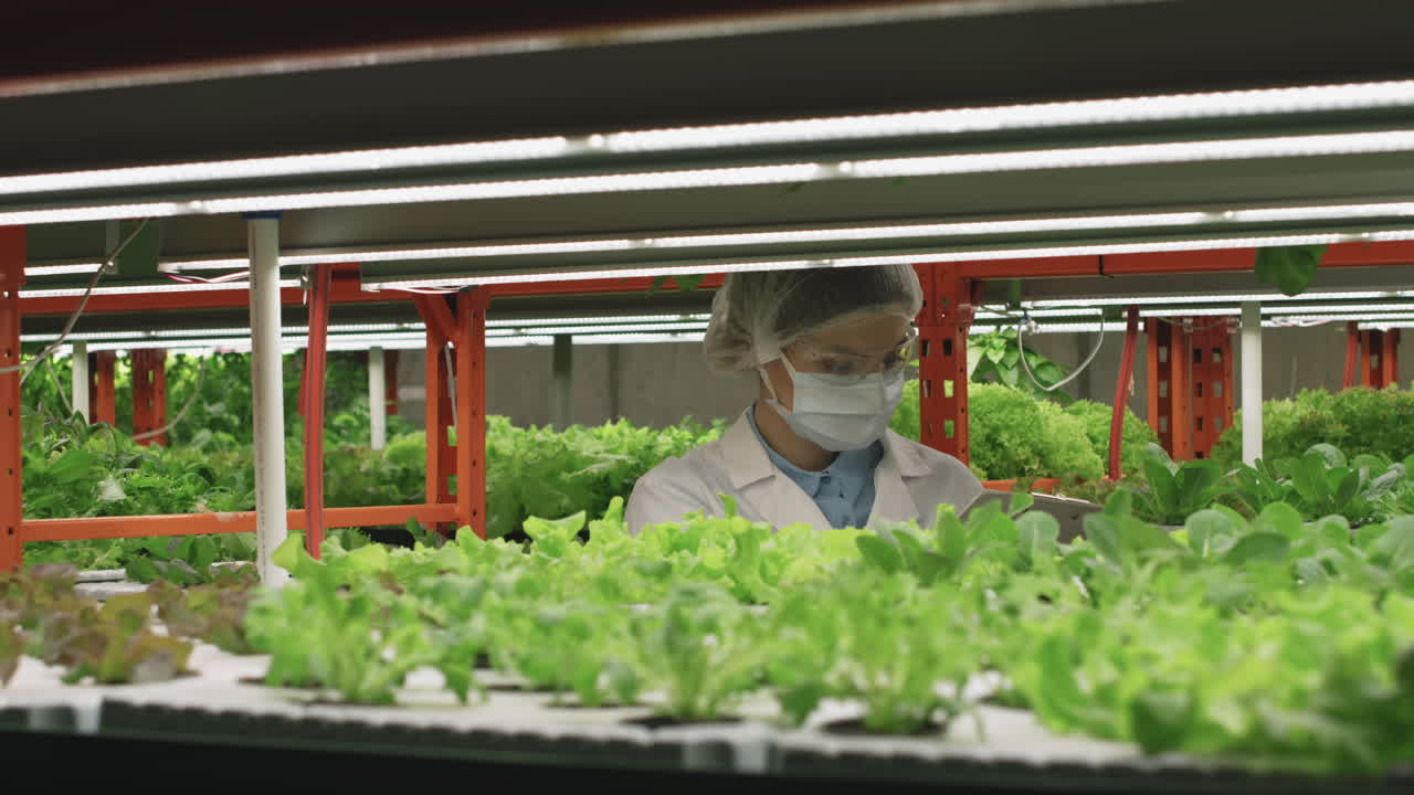 Female Agroengineer in Lab Coat Examining Seedlings